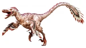 Velociraptor mongoliensis 