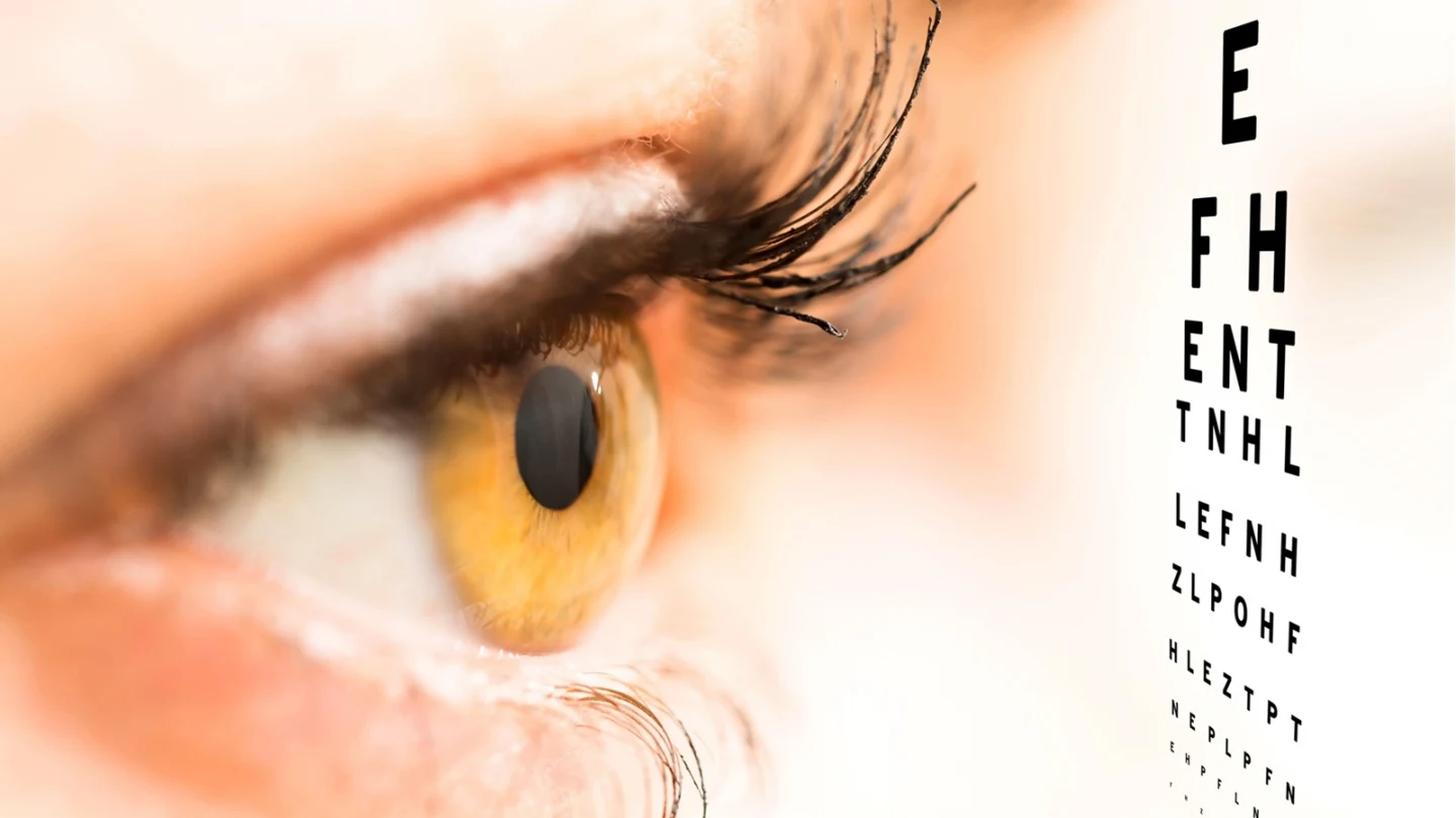 Wissenstest: Voller Durchblick - Was wissen Sie über das Auge?