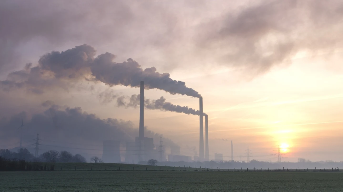Wissenstest: CO2-Quiz – Wie gut kennen Sie sich mit dem Klimaschadstoff aus?