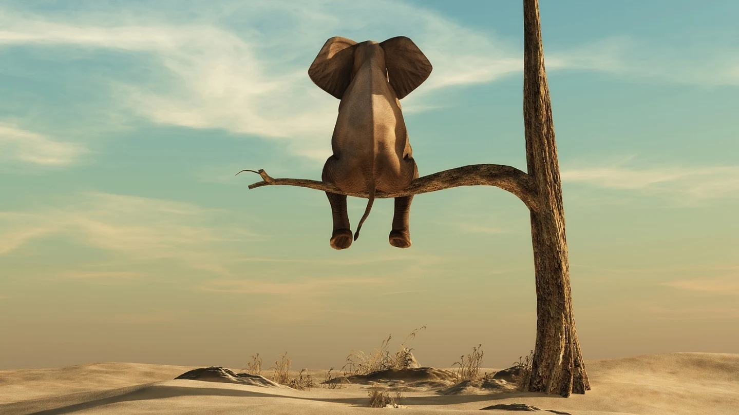 Wissenstest: Crazy-Nature-Quiz - tierische Überraschungen