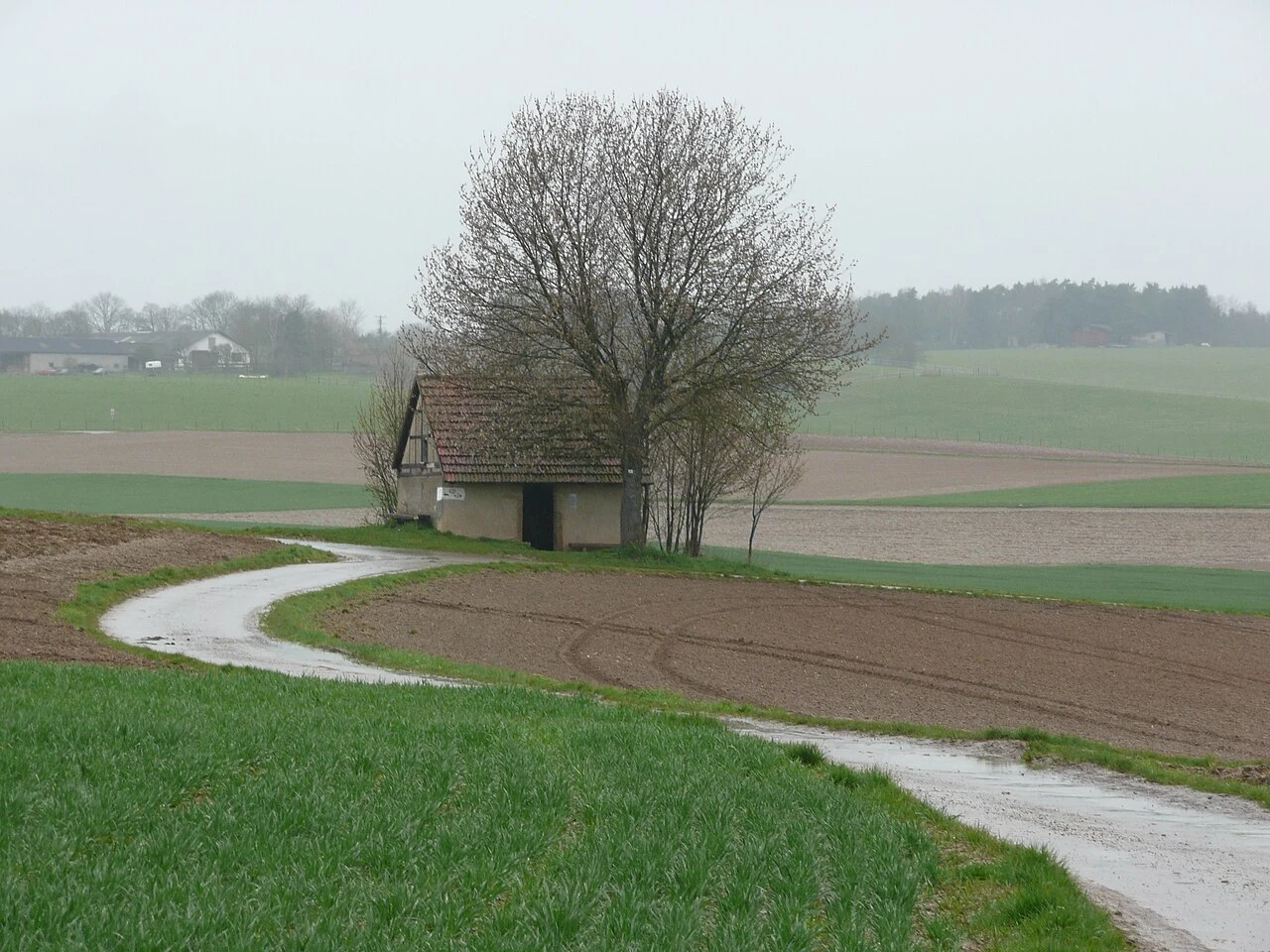 Können Gewichtsdecken wirklich unseren Schlaf verbessern?