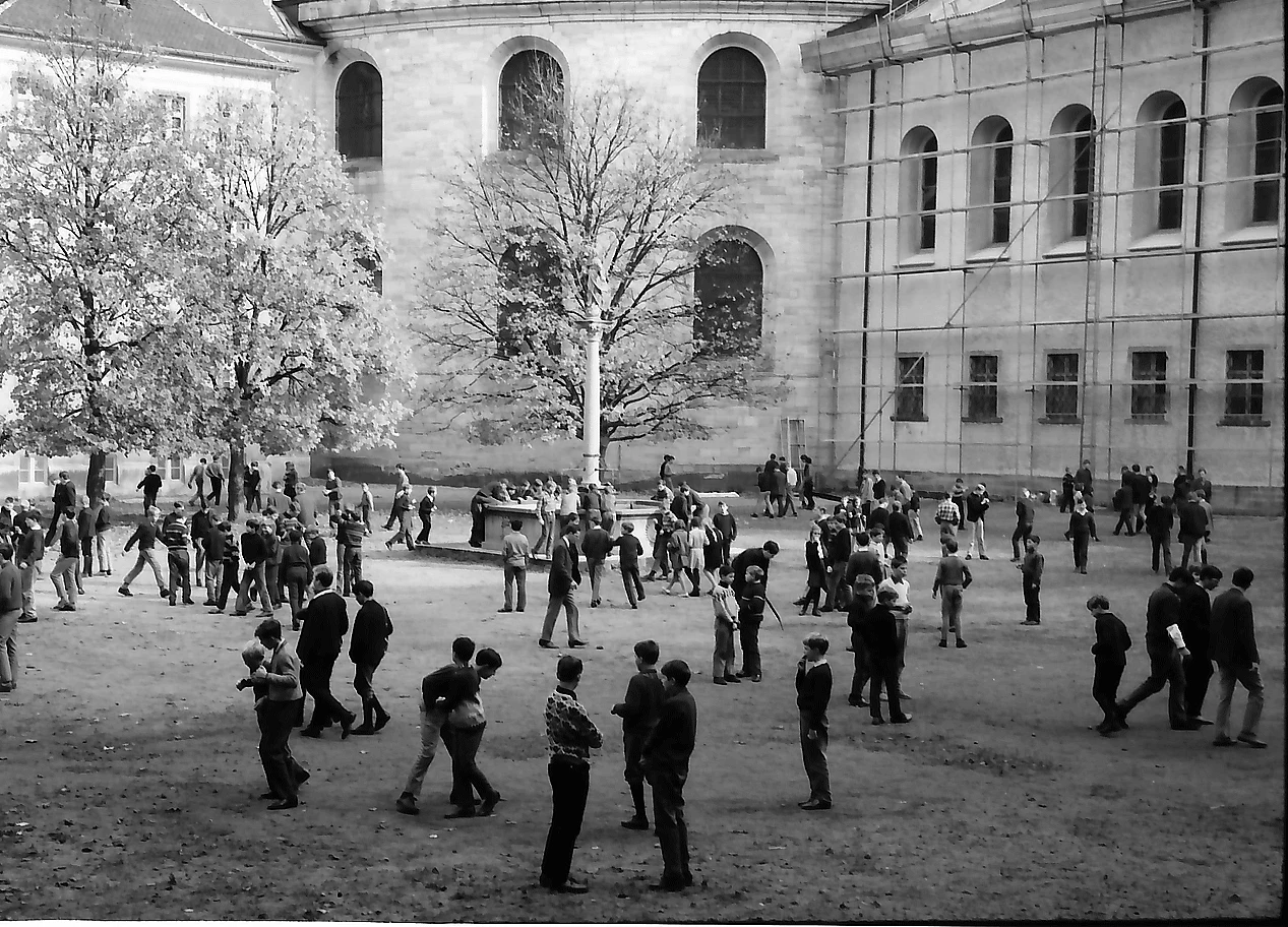 Strukturen eines Studiums