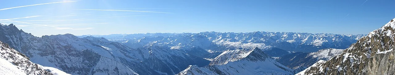 Welche Gefahr geht von Pilzen aus?