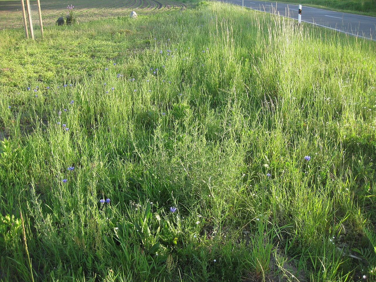 Natur & Umwelt