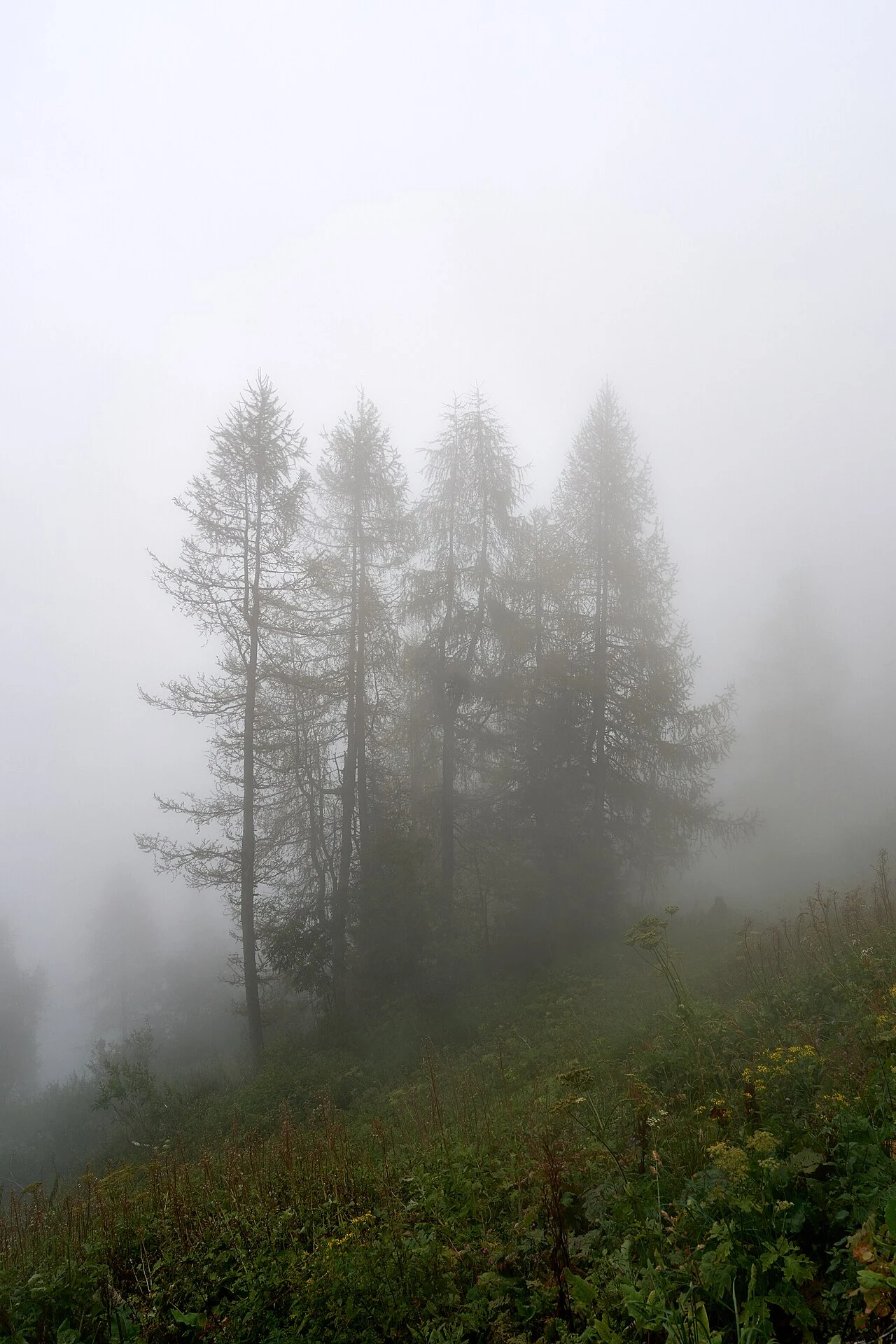 Im Land der Ameisen