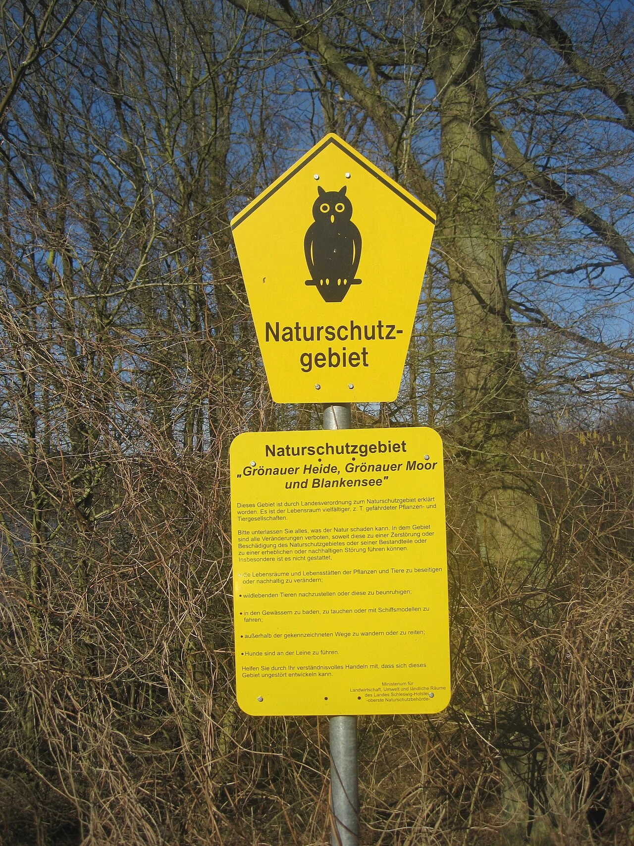Hund und Mensch: Ein starkes Team