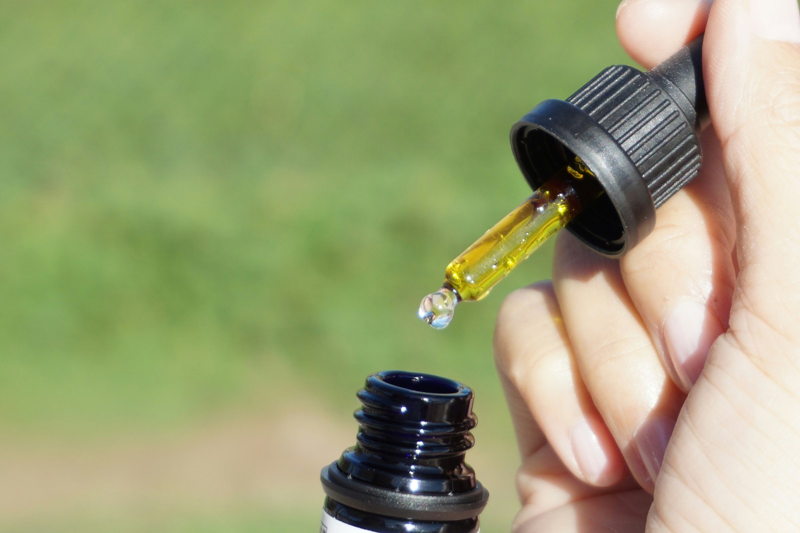 CBD einfach erklärt: Herkunft, Eigenschaften und rechtliche Einordnung