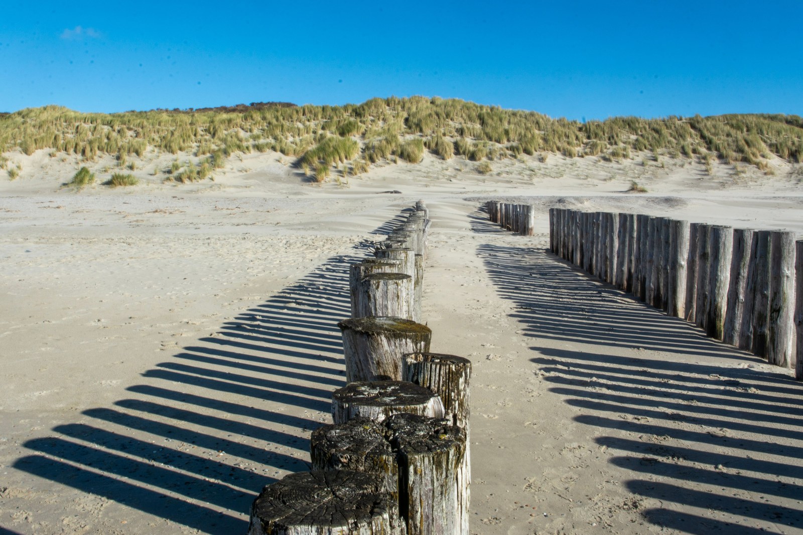 Entdecke das Urlaubsglück direkt nebenan: Warum Holland das perfekte Reiseziel ist