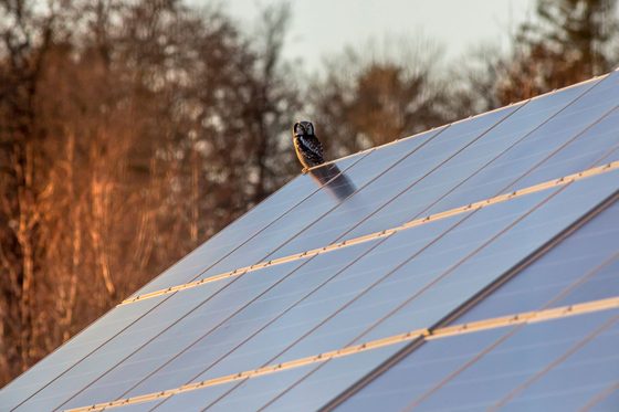 NIH installiert Solar-Parkdach – Projekt zwischen Verwaltungswechsel und Klimapolitik