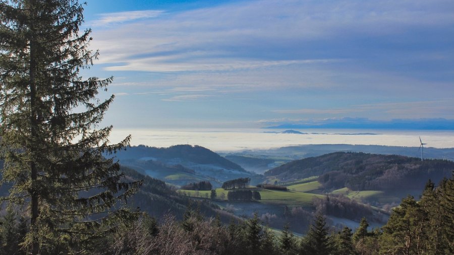 Schwarzwaldpanorama